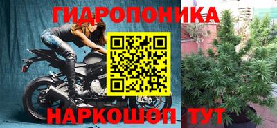 индика Ставрополь