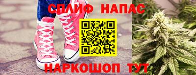 ешки Славгород